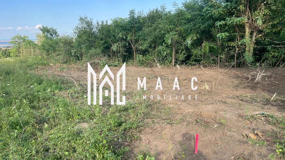 Oportunitate de Investiție Strategică | Teren Intravilan | Colonia Becas - Poză 10