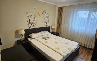 Apartament 2 camere de inchiriat - Poză 4