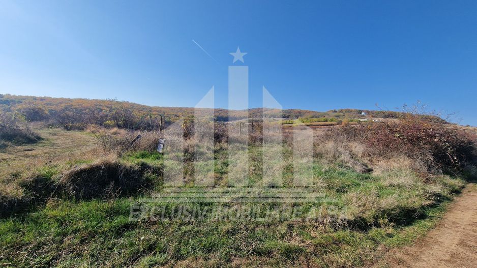 Teren intravilan de vanzare, Cetate - Poză 2