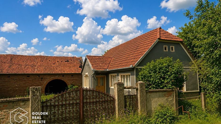 Casa traditionala cu teren 3.086 mp,  Căpruța, Arad - Poză 3