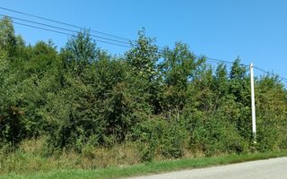 Teren  construibil ,la sosea, intre Vale si Sibiel, zona cu potential - Poză 11