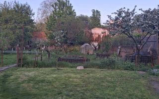 Casă cu grădină în centrul orașului Satu Mare - Poză 1