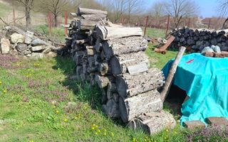 GHERTENIȘ\ CASĂ 3 CAMERE  TEREN 4636 MP\ COMISION 0% - Poză 10