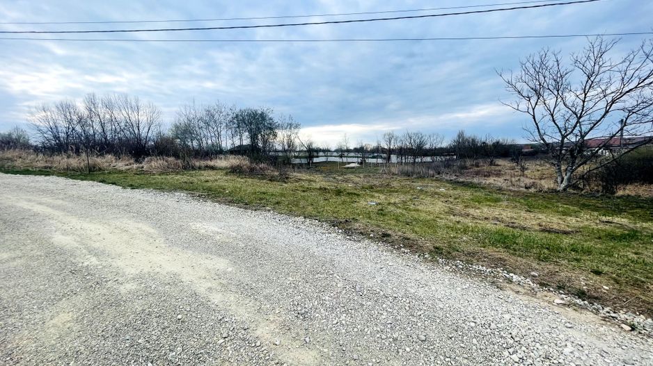 Teren Intravilan cu Front Dublu în Paleu - Poză 1