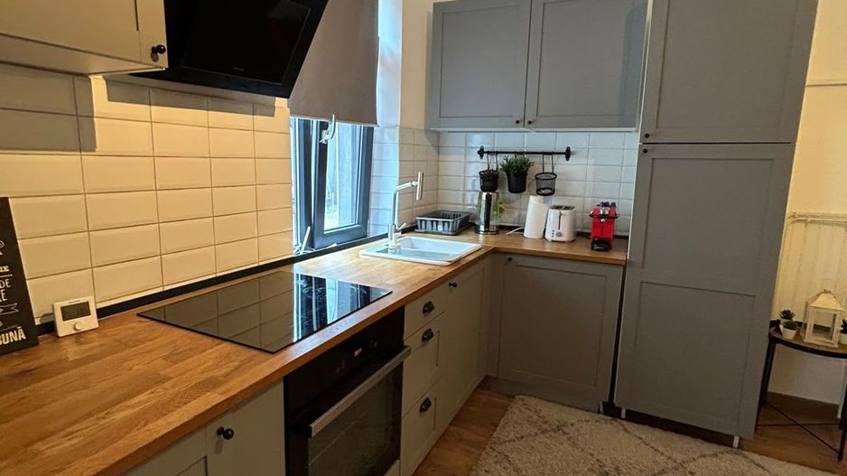 APARTAMENT 2 CAMERE OPENSPACE PARCUL CAROL - TINERETULUI - Poză 6