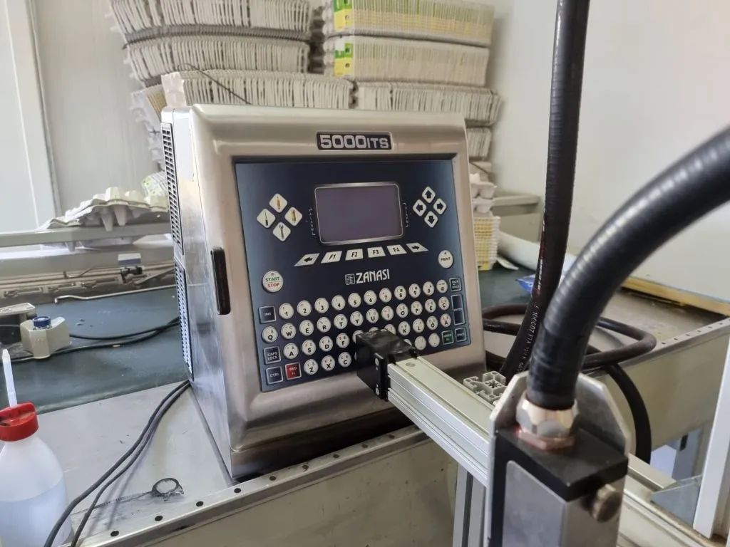 Ferma de gaini ouatoare in sistem free-range | 45.000 mp teren - Poză 4