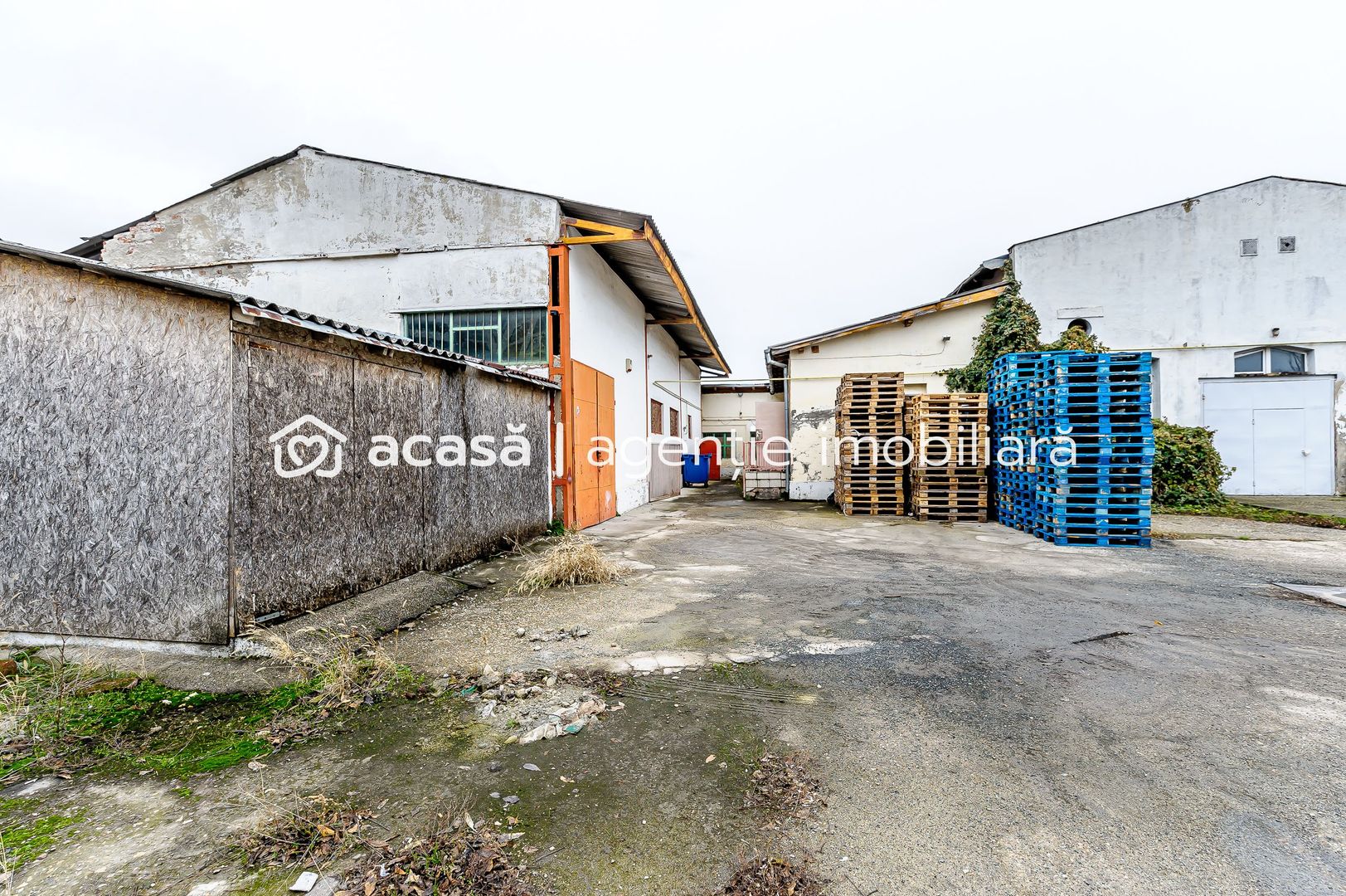 Hală în zona Intim - Poză 2