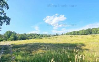 Vanzare teren intravilan, in Pacureti - Poză 7