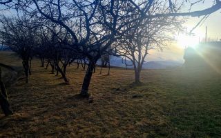 Oaza de liniste si frumusete, reconectare cu natura, 16.000 mp, Poiana Marului - Poză 8