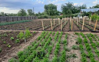 Casa Parter+Pod 90 mp+anexa 60 mp + atelier + teren intravilan 1600 mp - Poză 43