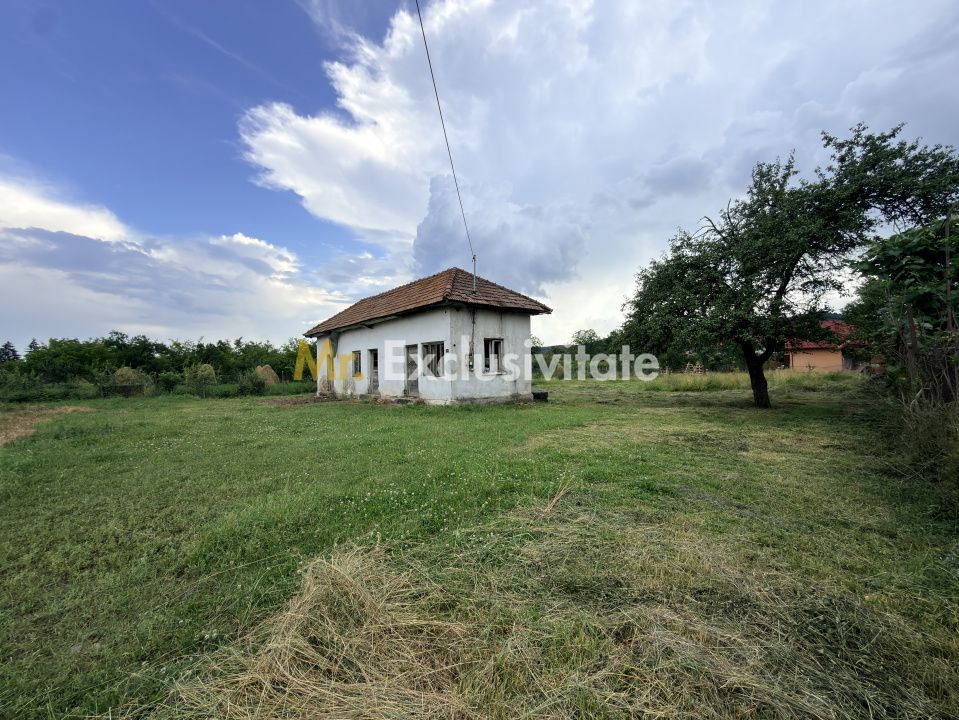 Teren intravilan–2.104 mp | Albești - Transfagarasan - Curtea de Arges - Poză 2