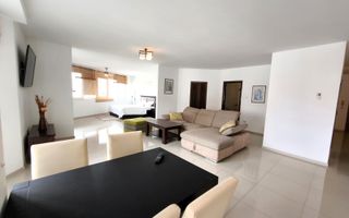 Apartament 2 camere, open space, de inchiriat, Str Transilvaniei - Poză 8
