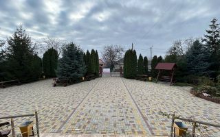 Vânzare, spațiu comercial, 600 mp, orașul Glodeni - Poză 8