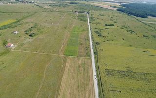 TEREN ZONA PADUREA BISTRA 726 MP - Poză 7