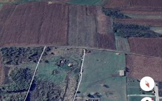 Teren intravilan | 20.000 MP | Parcelabil | Daia - Poză 2