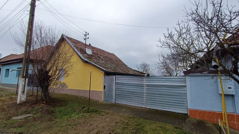 Casă cu teren generos 1.305 mp | Curtici – Arad - Poză 2