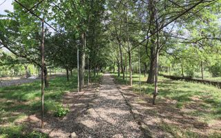 Vilă 5 camere Grădiște | 2 corpuri | 0% comision. Preț negociabil! - Poză 5