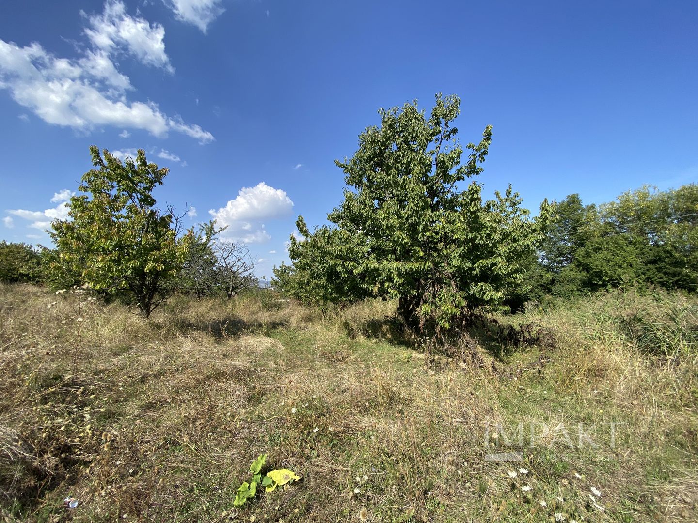 Teren 802 m2 Faget cu PUZ aprobat - Poză 1