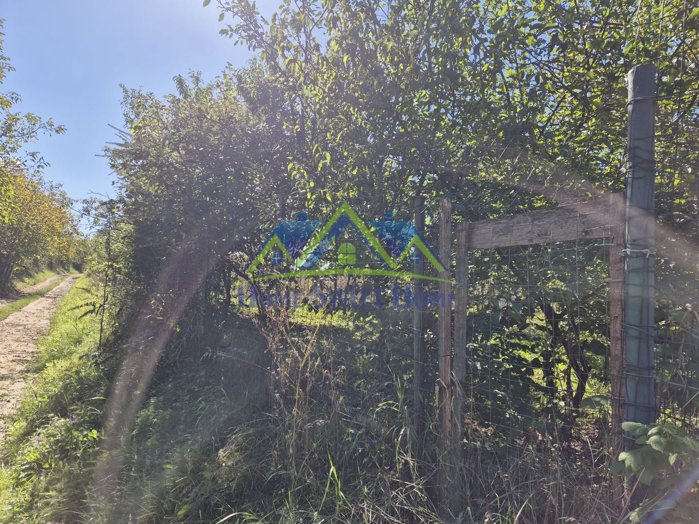 Teren intravilan în zona Lătureni – Buituri, în spatele casei nr. 100! - Poză 3