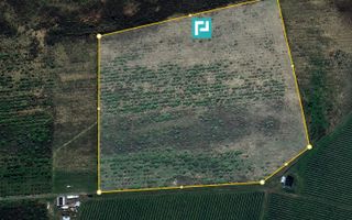 Teren Extravilan 4,5 hectare in Lipova - Poză 2