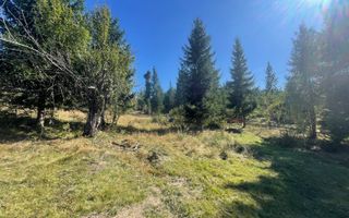 Teren Intravilan | Dealul Negru | Investiție | 1500 mp - Poză 2