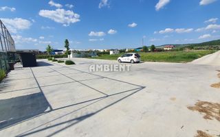 INVESTIȚIE!! Teren intravilan 13.000 mp, zona LA LIVADĂ; - Poză 3