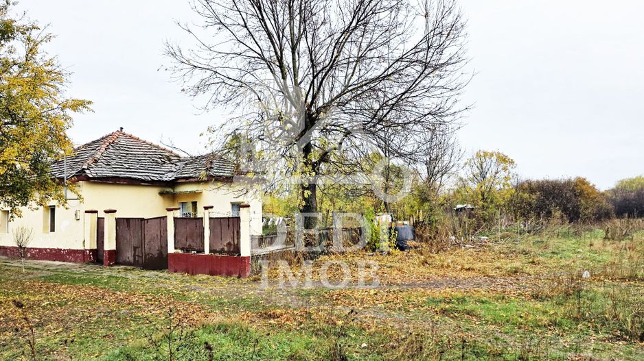 Casa de vanzare cu teren de 1532 mp in satul Berini, Timis - Poză 3