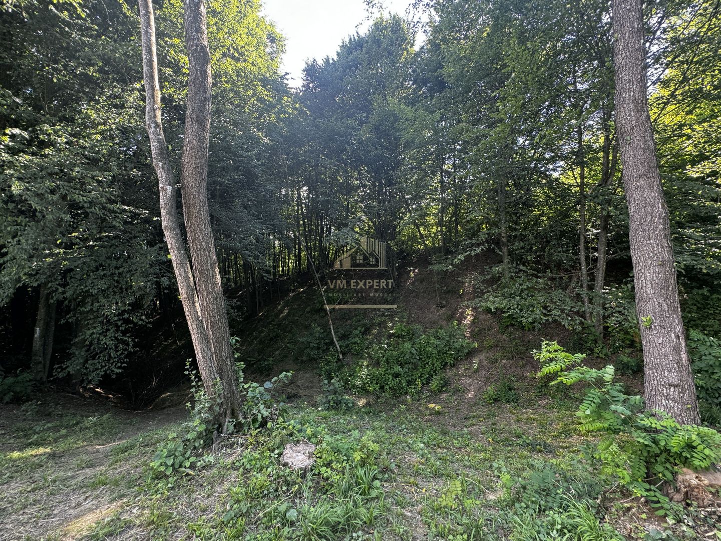 TEREN INTRAVILAN,  SUPRAFAȚA 3446 MP, BUGHEA DE SUS, ARGES - Poză 21