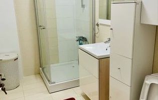 Apartament cu 2 camere decomandate zona Vivo - Poză 8