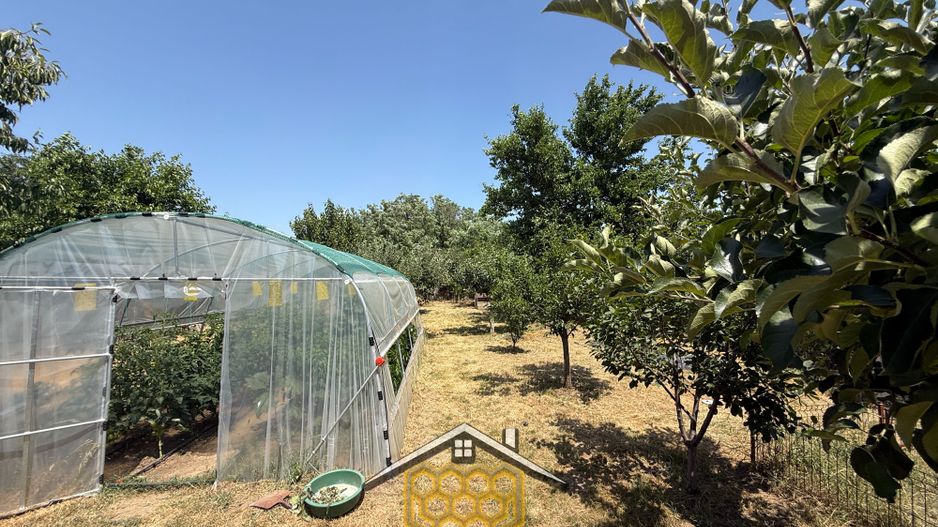 Casa individuala P+ Pod +Beci in sat Robanesti, 10 minute de Craiova - Poză 19