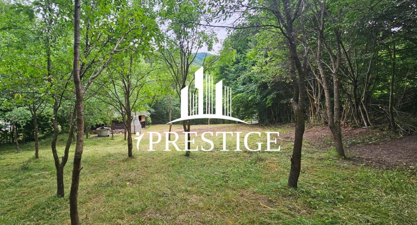 TEREN INTRAVILAN 1013 MP | UTILITĂȚI LA STRADĂ | ZONA PIATRA BROAȘTEI - Poză 2