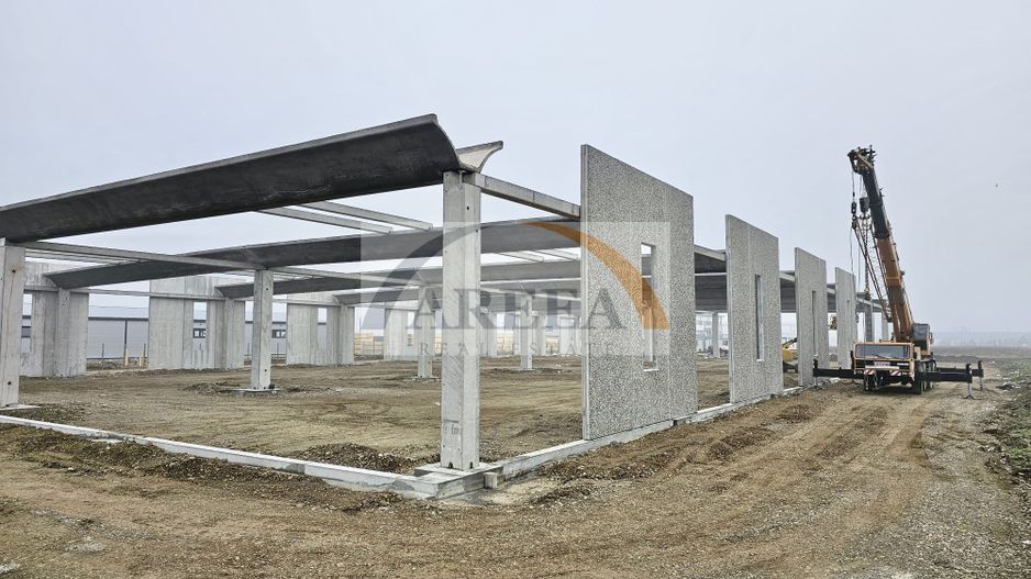 Vanzare hale/depozite/productie -industrial-Chitila - Rudeni, ILFOV - Poză 10