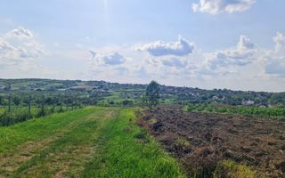 Teren intravilan Saldabagiu de Munte 1100m - Poză 5