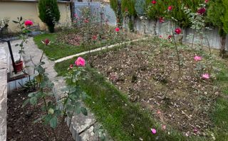 Vilă spațioasă 6 camere în centrul Lugoj – teren 471 mp, garaj - Poză 23