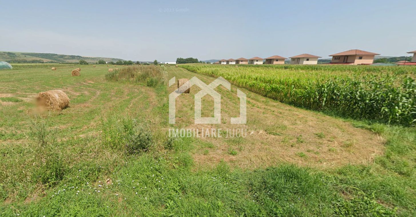 Teren intravilan – 2.900 mp | Jucu de Sus - Poză 2