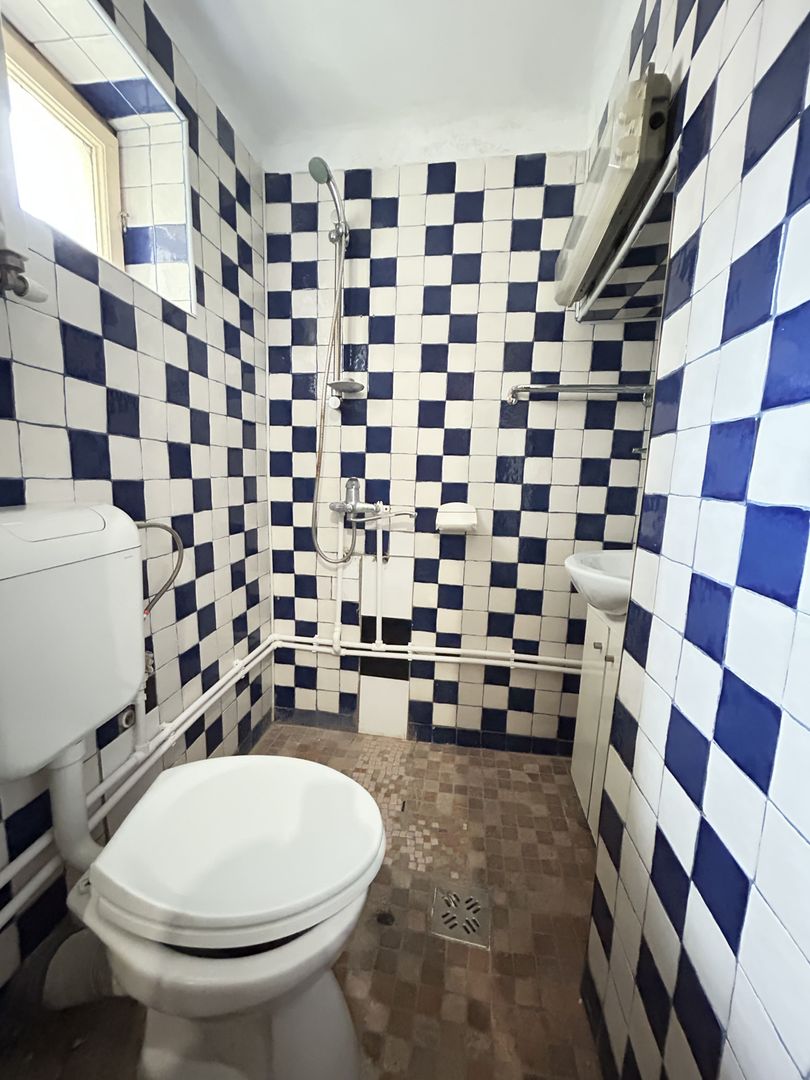 Clădire Istorică Individuală | 322mp | Pietonala Ștefan cel Mare - Poză 10