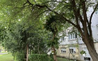 BRASADAS vinde ap cam etaj 1/4 Micro 15 Oituz. - Poză 1