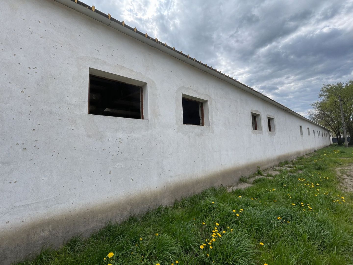 Hala Industrială / Agricolă | 800 MP Construcție + 800 MP Teren | - Poză 10