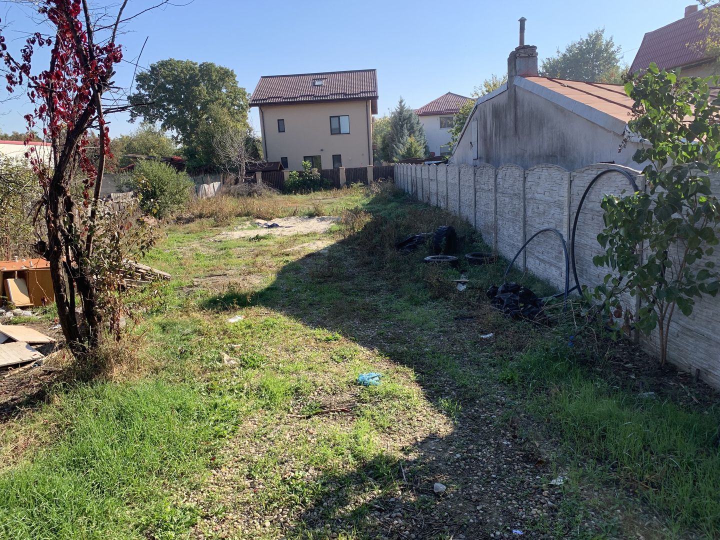 VANZARE TEREN 500MP-SISESTI-PADURE - Poză 6