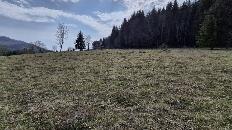 Teren intravilan la baza pădurii Valea Doftanei sat Traisteni (poduri) - Poză 7