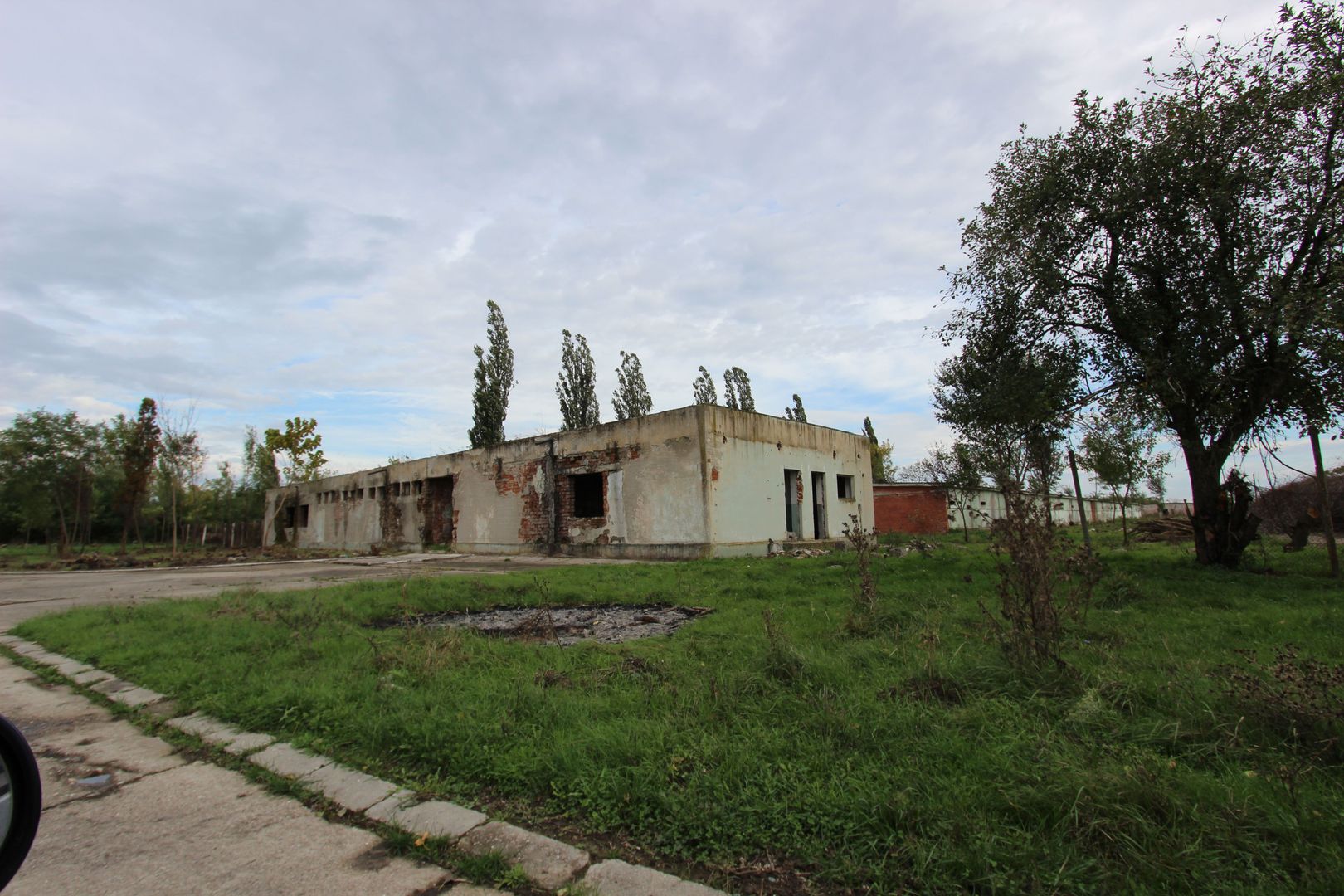 Vanzare hale Mosnita Noua-fosta Ferma 7 - Poză 33