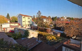 Casa cu mesteacan - DIRECT PROPRIETARI! - spectaculos toamna - Poză 7