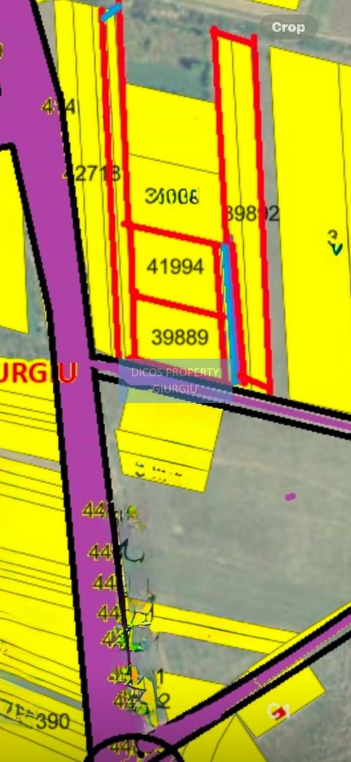 Teren intravilan Zona Vama Giurgiu - Poză 1