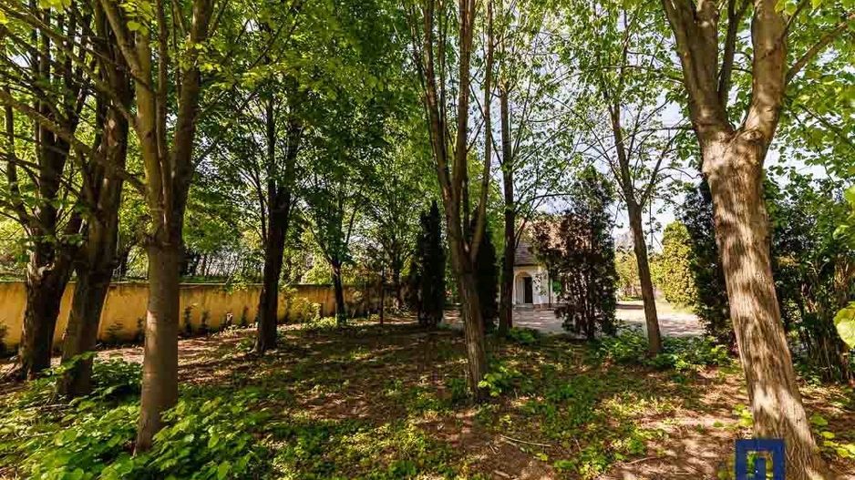 Vila cu 6 cam si 6 bai- 3465 mp teren- ideala pentru dezvotarea unui bussines  - Poză 42