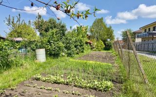 Casă cu grădină în zona premium Făget. - Poză 4