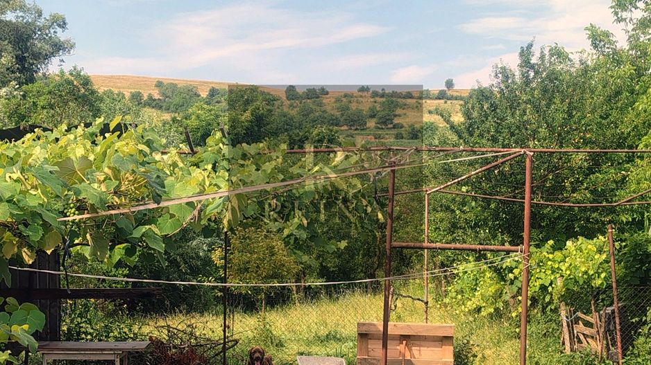 Casă cu teren 800 mp la 25 km de Sibiu – 3 camere - Poză 2