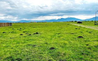 Teren intravilan 872mp, cu priveliste superba, Harman, Brasov - Poză 8