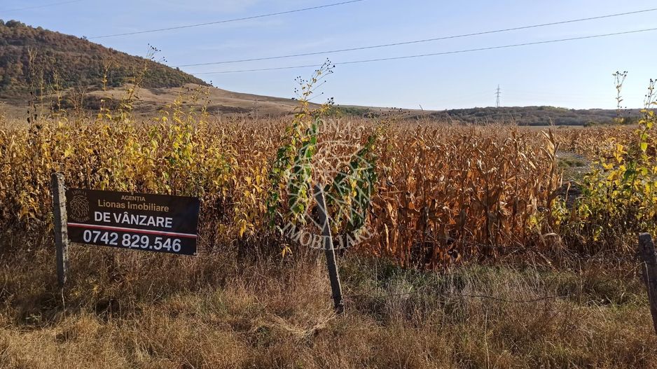 Parcele intre 770 mp si 4606 mp-ideal investitie-Sarata - Poză 3