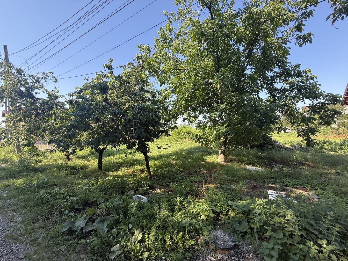 Casă renovanila lângă pădure 91 mp + teren 500 mp cu toate utilitățile - Poză 17
