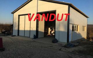 Vanzare hala si teren, Maracineni - Poză 1